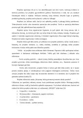 Verslo projektų samprata, paskirtis, rūšis ir gyvavimo ciklai 6 puslapis