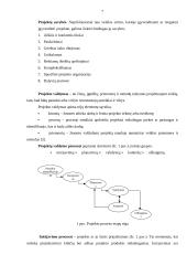 Verslo projektų samprata, paskirtis, rūšis ir gyvavimo ciklai 7 puslapis