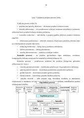 Verslo projektų samprata, paskirtis, rūšis ir gyvavimo ciklai 10 puslapis