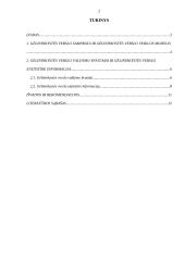 Verslo valdymas: gėlininkystė 2 puslapis