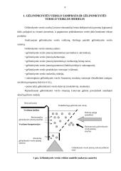 Verslo valdymas: gėlininkystė 4 puslapis