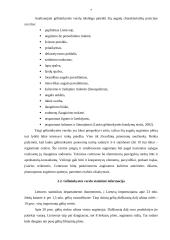 Verslo valdymas: gėlininkystė 7 puslapis