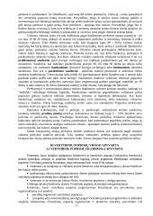 Vertybiniai popieriai ekonomikoje 12 puslapis