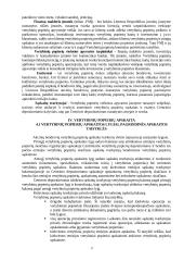 Vertybiniai popieriai ekonomikoje 16 puslapis