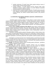 Vertybiniai popieriai ekonomikoje 17 puslapis