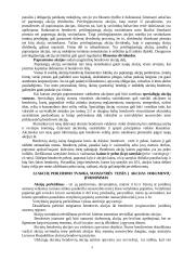 Vertybiniai popieriai ekonomikoje 3 puslapis