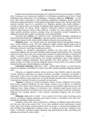 Vertybiniai popieriai ekonomikoje 5 puslapis