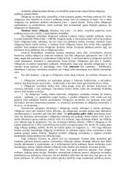 Vertybiniai popieriai ekonomikoje 6 puslapis