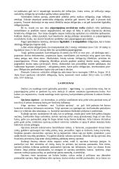 Vertybiniai popieriai ekonomikoje 7 puslapis