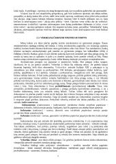 Vertybiniai popieriai ekonomikoje 8 puslapis