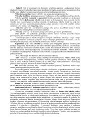 Vertybiniai popieriai ekonomikoje 9 puslapis