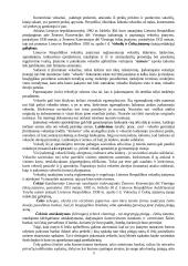 Vertybiniai popieriai ekonomikoje 10 puslapis