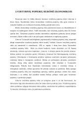 Vertybiniai popieriai ir jų reikšmė ekonomikoje 11 puslapis