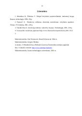 Vertybiniai popieriai ir jų reikšmė ekonomikoje 13 puslapis