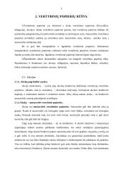 Vertybiniai popieriai ir jų reikšmė ekonomikoje 3 puslapis