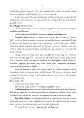 Vertybiniai popieriai ir jų reikšmė ekonomikoje 4 puslapis