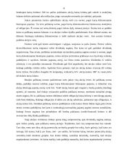 Vertybinių popierių rinka ir jos vaidmuo ekonomikoje 11 puslapis