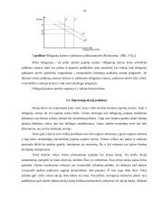 Vertybinių popierių rinka ir jos vaidmuo ekonomikoje 10 puslapis