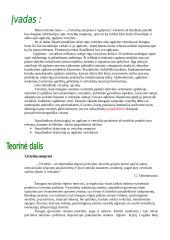 Vertybių samprata ir ugdymas 2 puslapis