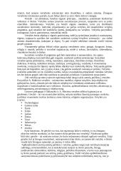 Vertybių samprata ir ugdymas 3 puslapis