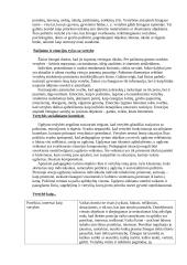 Vertybių samprata ir ugdymas 4 puslapis