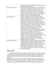 Vertybių samprata ir ugdymas 5 puslapis