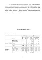 Vienalytės darbo rinkos problematika Lietuvoje 12 puslapis