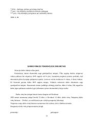 Vienalytės darbo rinkos problematika Lietuvoje 13 puslapis