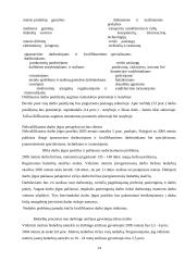 Vienalytės darbo rinkos problematika Lietuvoje 14 puslapis