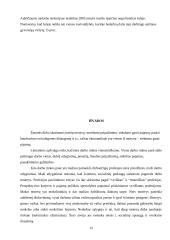 Vienalytės darbo rinkos problematika Lietuvoje 15 puslapis