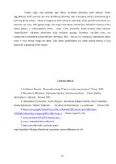 Vienalytės darbo rinkos problematika Lietuvoje 16 puslapis