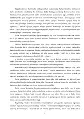 Vienalytės darbo rinkos problematika Lietuvoje 5 puslapis