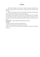 Vienetinė darbo užmokesčio forma 2 puslapis
