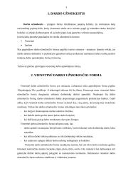 Vienetinė darbo užmokesčio forma 3 puslapis
