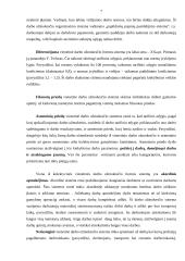 Vienetinė darbo užmokesčio forma 7 puslapis