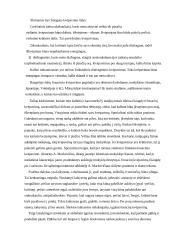 Vieša kalba 2 puslapis