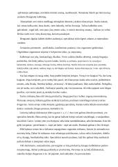 Vieša kalba 8 puslapis