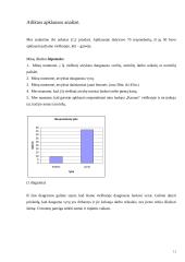 Viešbučio analizė: "Kaunas" 11 puslapis