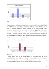 Viešbučio analizė: "Kaunas" 12 puslapis