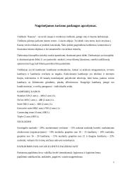 Viešbučio analizė: "Kaunas" 6 puslapis