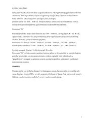 Viešbučio analizė: "Kaunas" 7 puslapis