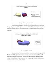 Viešbučio kultūros tyrimas: "Santaka" 15 puslapis