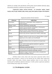 Viešbučio kultūros tyrimas: "Santaka" 5 puslapis