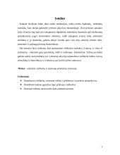 Viešbučių ir restoranų problemos Lietuvoje 2 puslapis