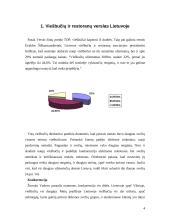 Viešbučių ir restoranų problemos Lietuvoje 3 puslapis