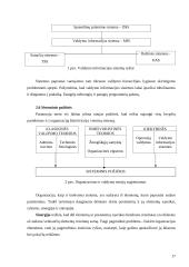 Viešojo administravimo teorijų raida 17 puslapis