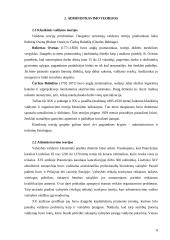 Viešojo administravimo teorijų raida 8 puslapis