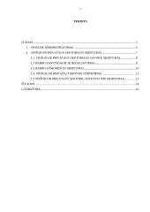 Viešojo ir privataus sektoriaus skirtumai 2 puslapis