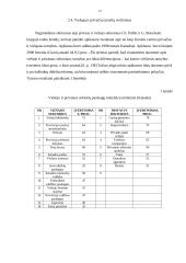 Viešojo ir privataus sektoriaus skirtumai 12 puslapis