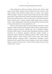 Viešojo ir privataus sektoriaus skirtumai 13 puslapis